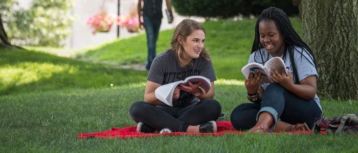Students studying on a lawn